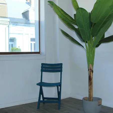 L'opale 5, Studio 2 Pers Apartment *